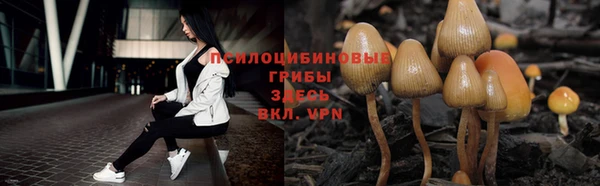 Альфа ПВП Новокубанск