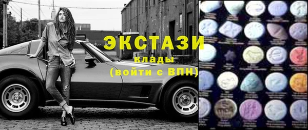 СК Новодвинск